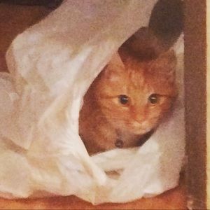 Meet your Posher, Jonna